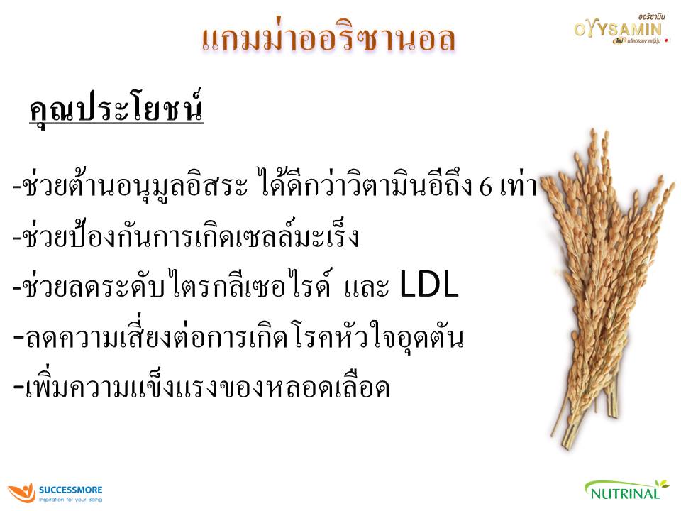 orysamin-slide-11