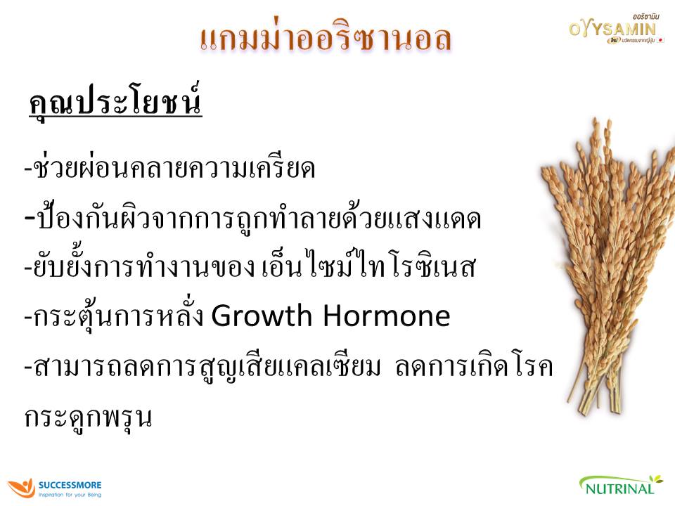 orysamin-slide-12