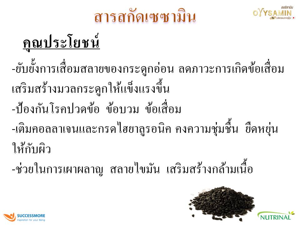 orysamin-slide-13