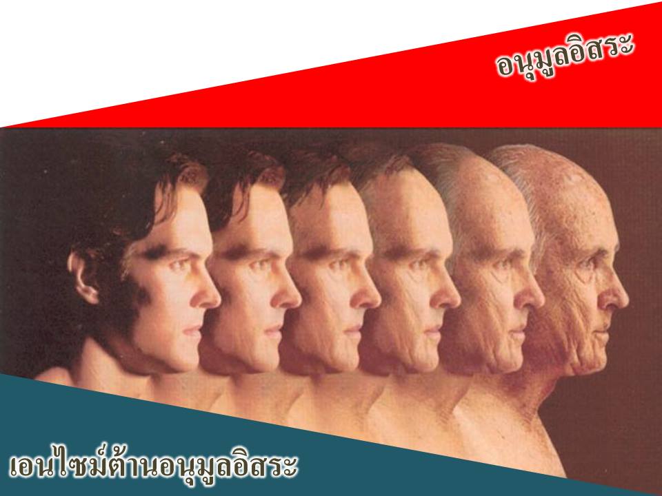 SOD SUCCESSMORE Present (10)