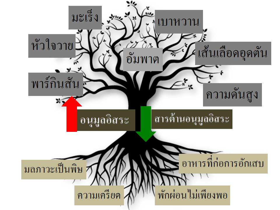 SOD SUCCESSMORE Present (11)