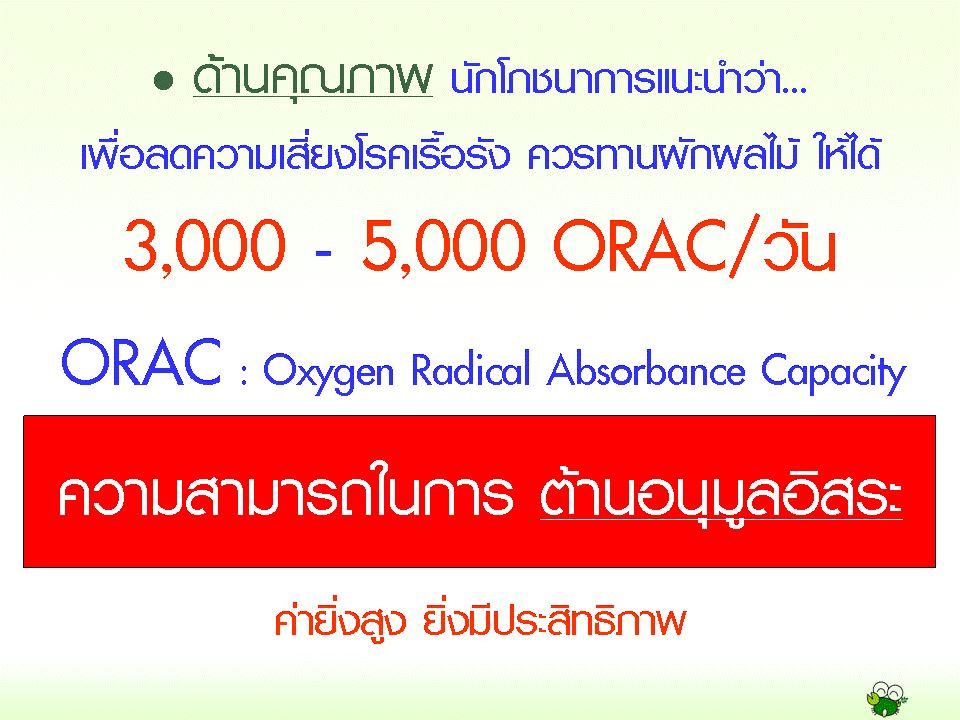 SOD SUCCESSMORE Present (13)