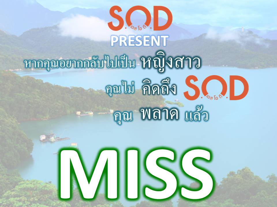 SOD SUCCESSMORE Present (24)