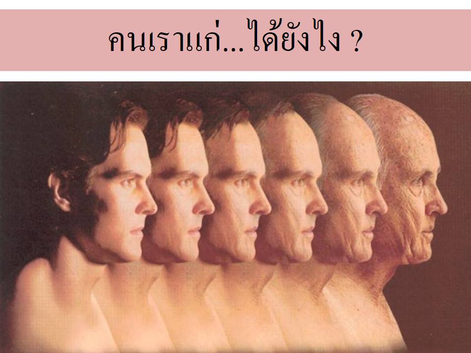 SOD SUCCESSMORE Present (4)