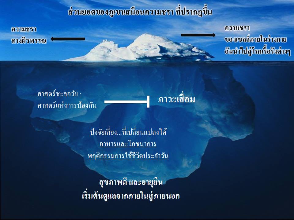 SOD SUCCESSMORE Present (5)