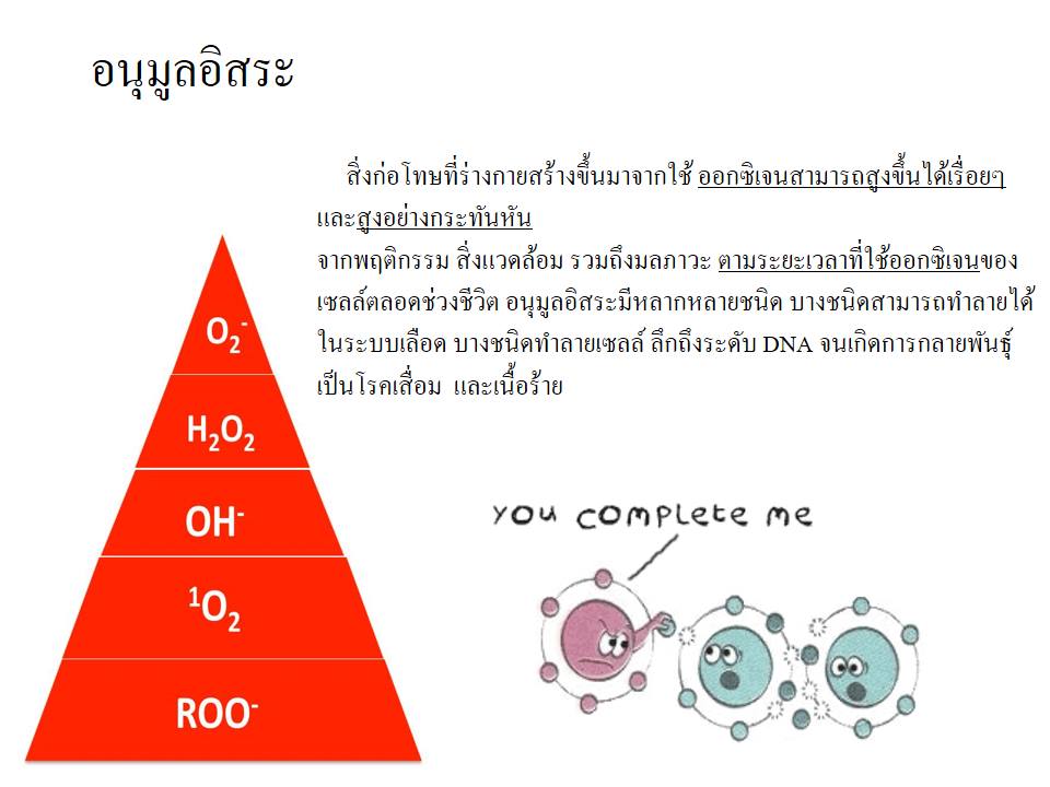 SOD SUCCESSMORE Present (7)