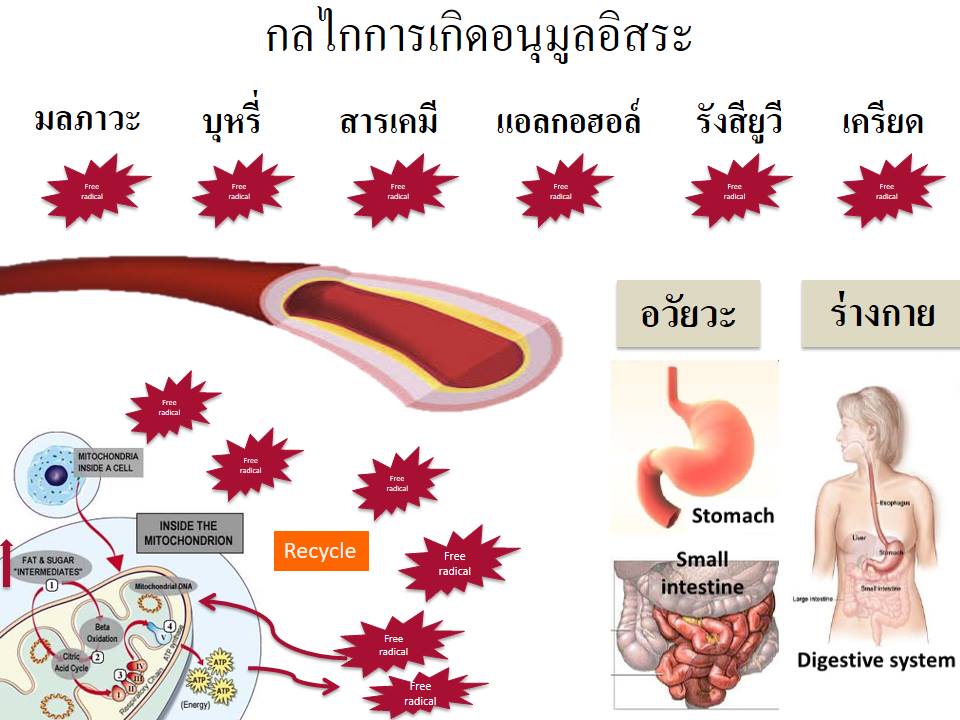 SOD SUCCESSMORE Present (9)
