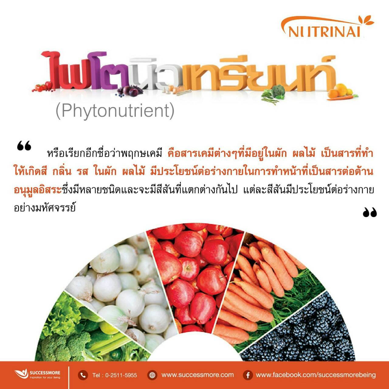 SUCCESSMORE SOD Teaser (5)