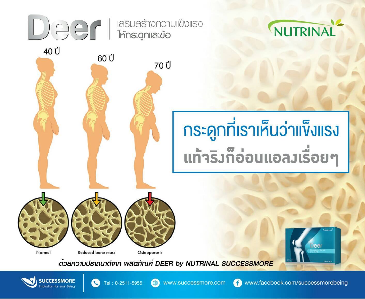 Deer กับโรคกระดูกพรุน (3)