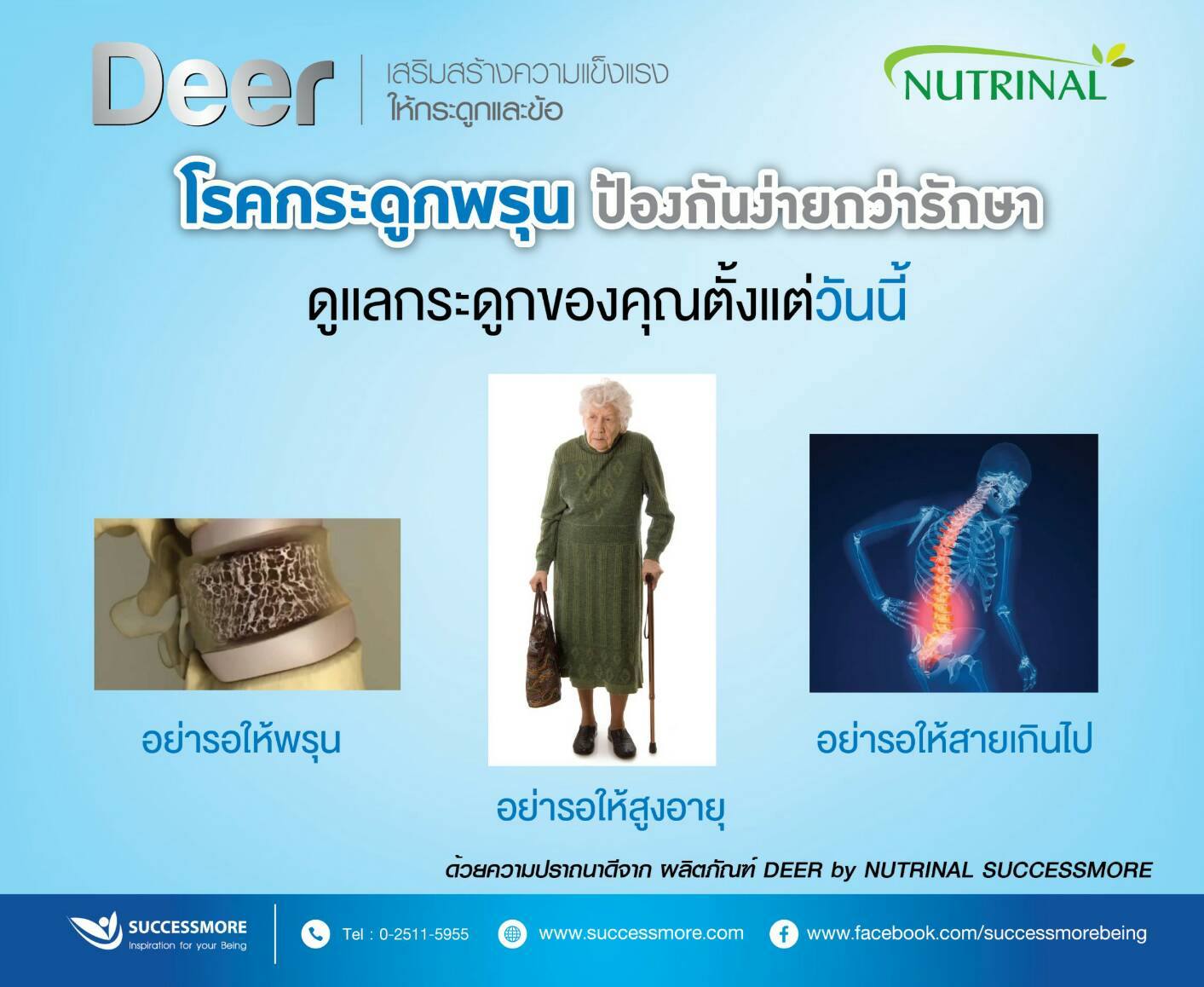Deer กับโรคกระดูกพรุน (5)