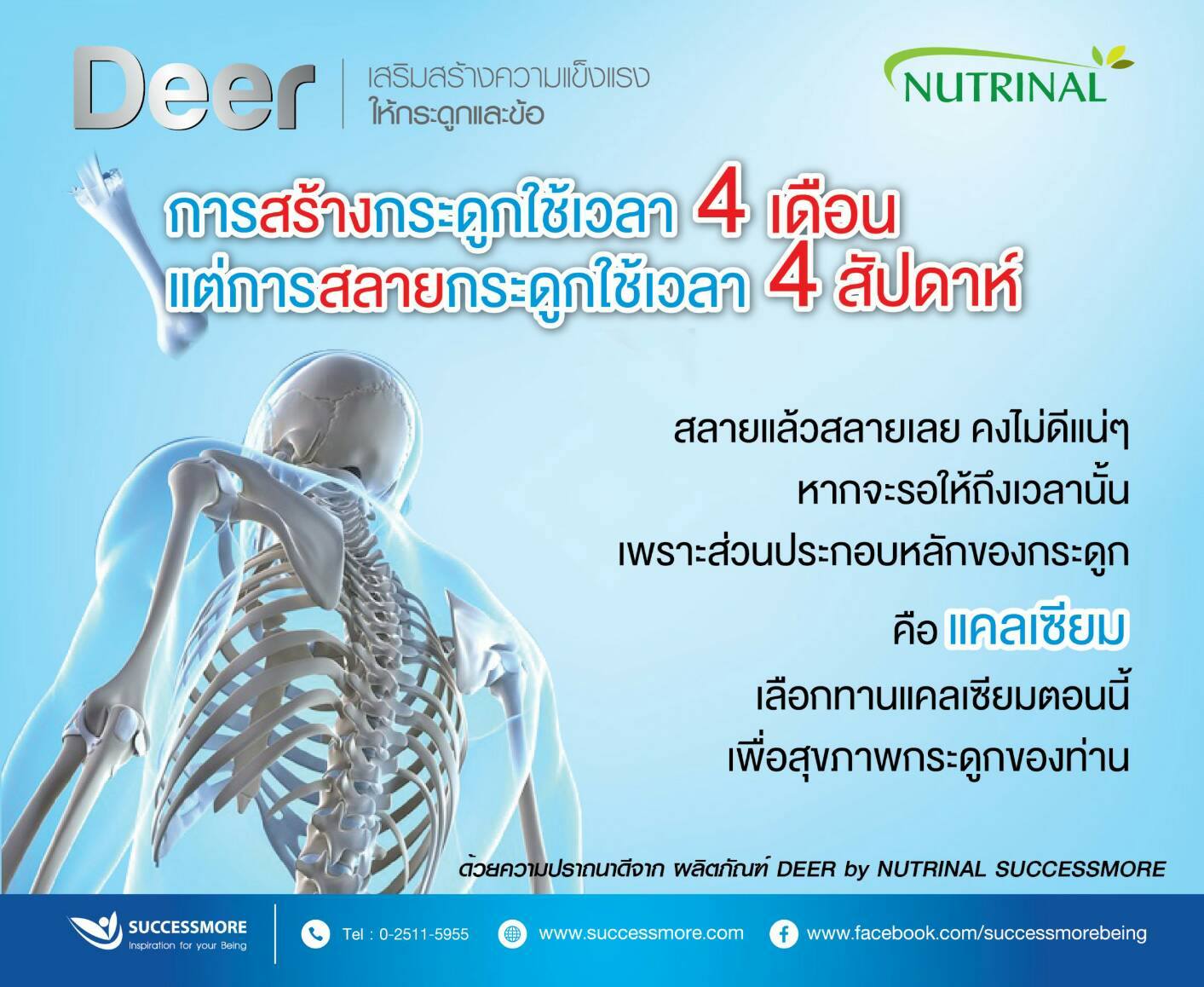 Deer กับโรคกระดูกพรุน (7)