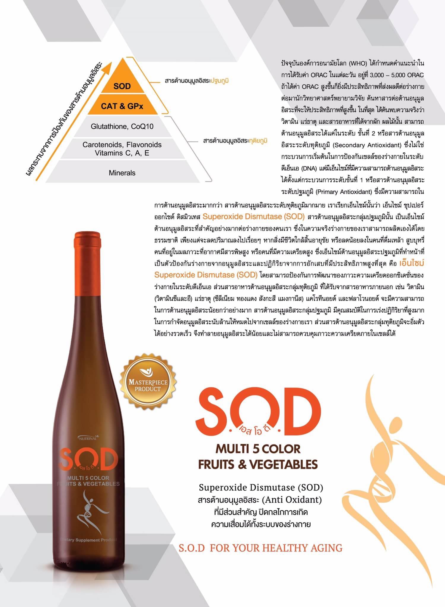 SUCCESSMORE S.O.D Brochure (2)