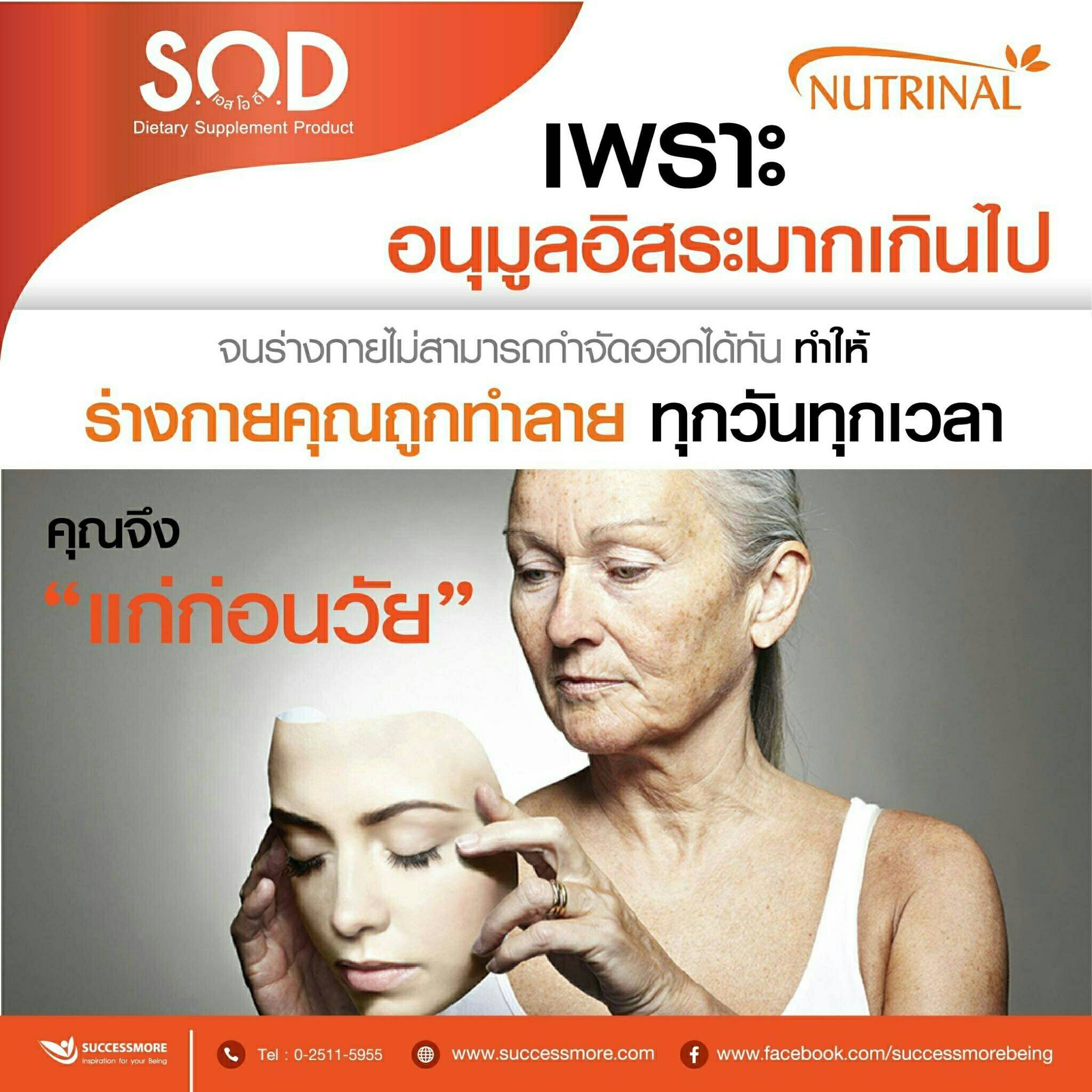 SUCCESSMORE SOD Teaser (11)