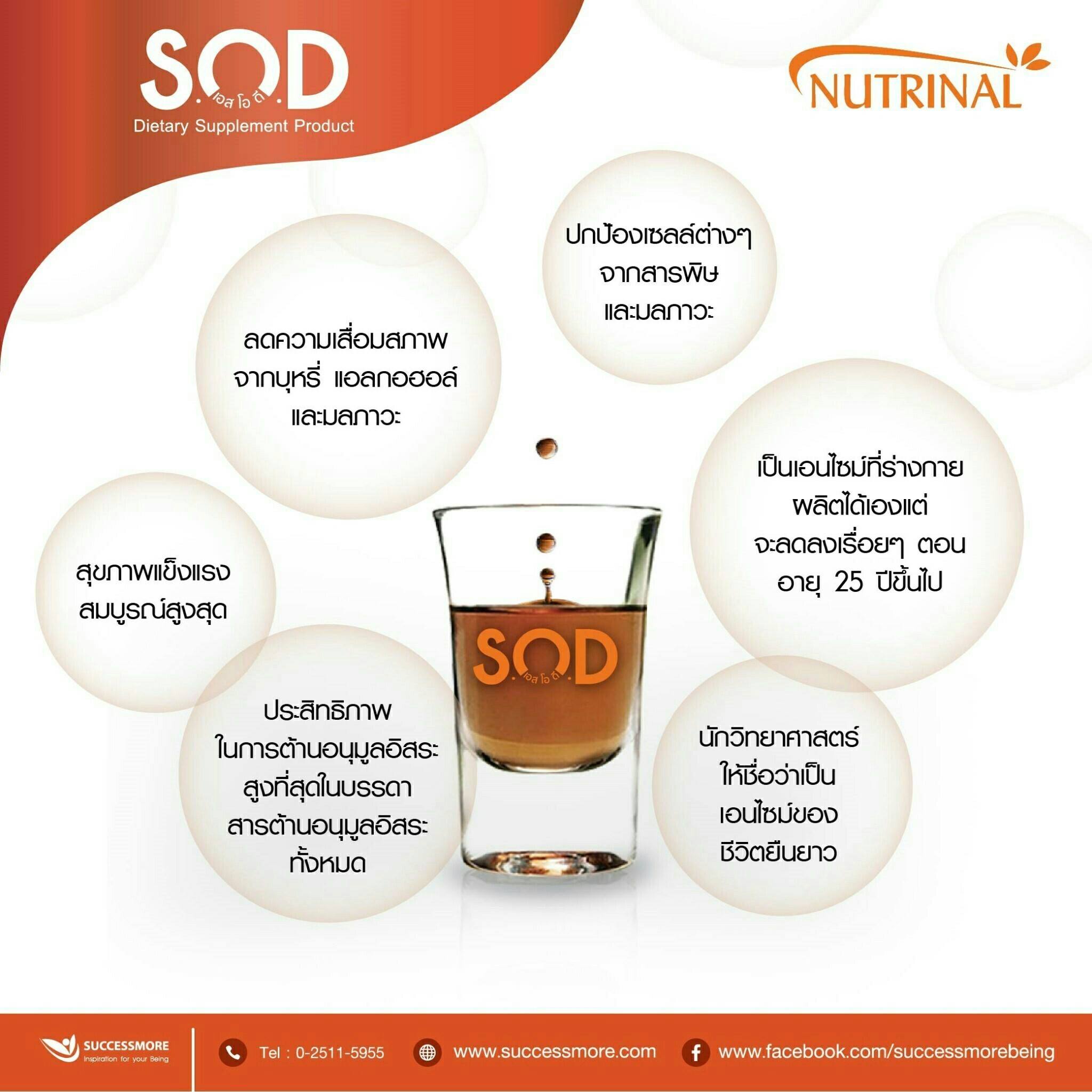 SUCCESSMORE SOD Teaser (14)