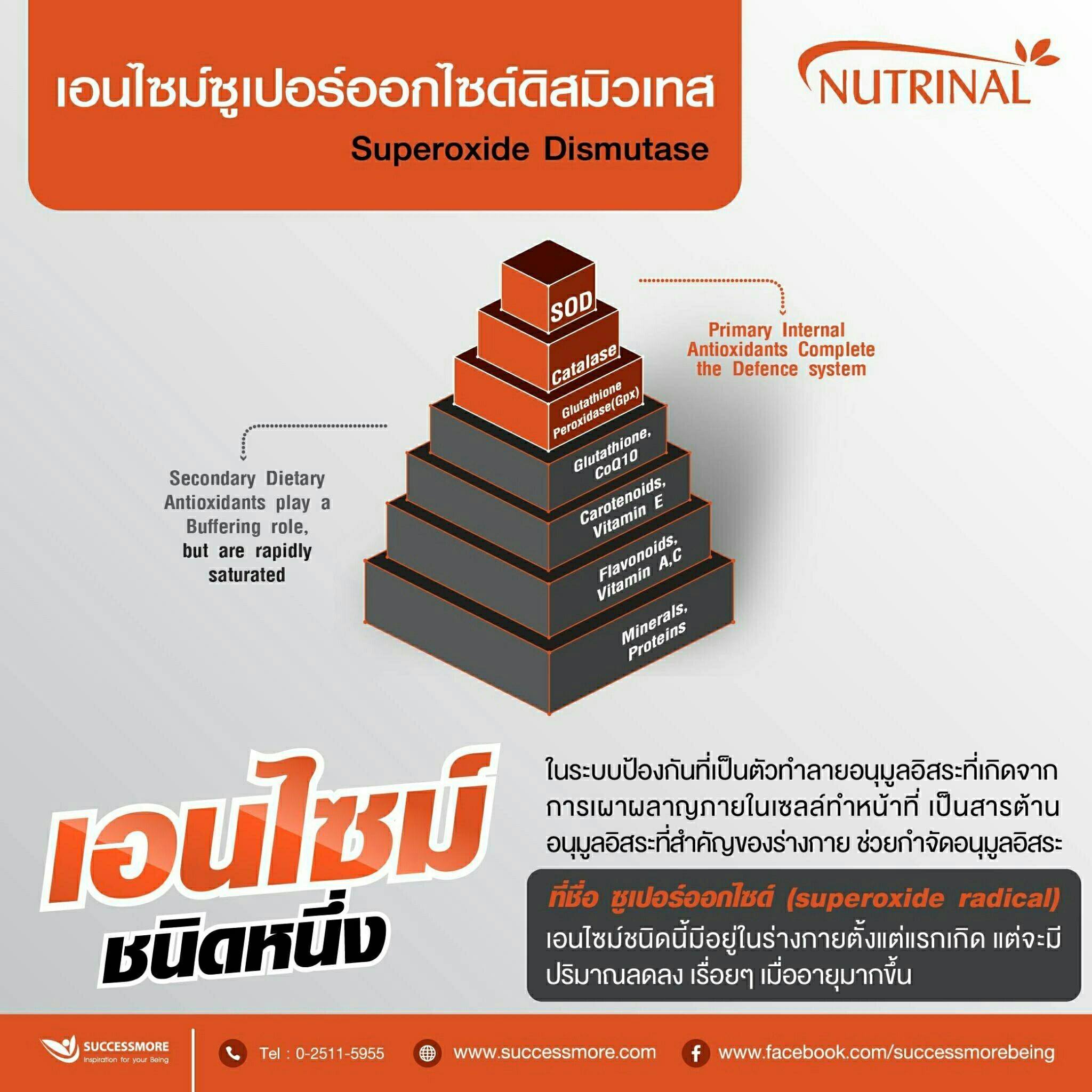 SUCCESSMORE SOD Teaser (9)