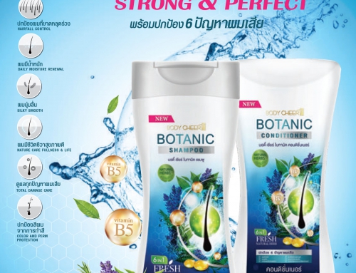 BOTANIC SHAMPOO & CONDITIONER (โบทานิค แชมพูและครีมนวดผม)