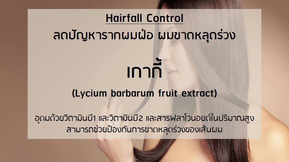 BOTANIC SHAMPOO & CONDITIONER Presentation (10)
