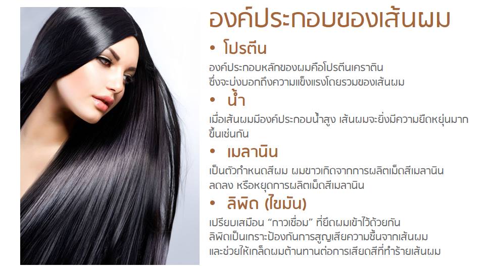 BOTANIC SHAMPOO & CONDITIONER Presentation (3)
