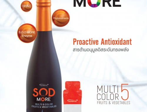 SOD MORE (เอสโอดี มอร์)