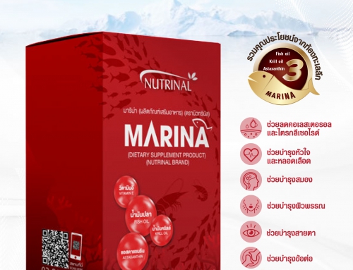 MARINA (มาริน่า)