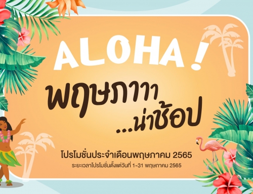 โปรโมชั่น SUCCESSMORE พฤษภาคม 2565